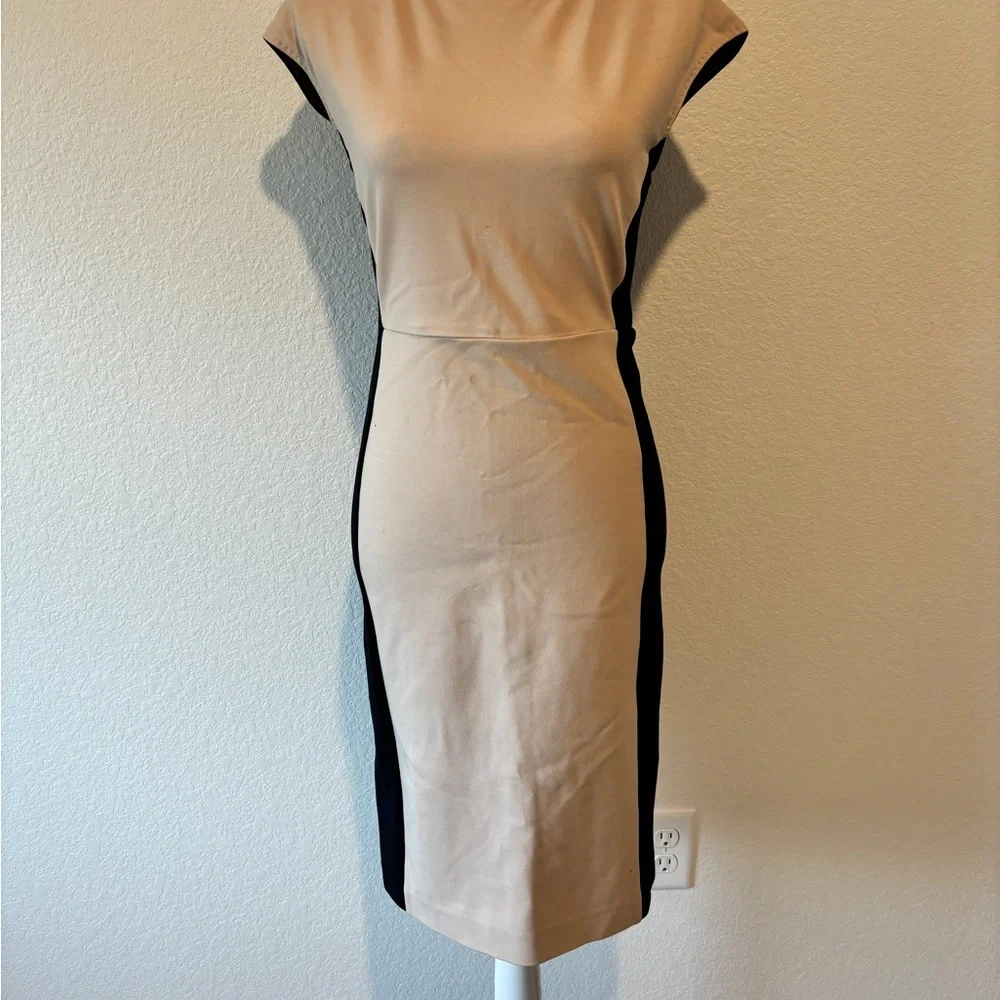 Max Mara Beige and Navy Dress sz 6 or 40